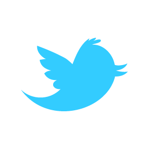 Twitter_newbird_boxed_blueonwhite