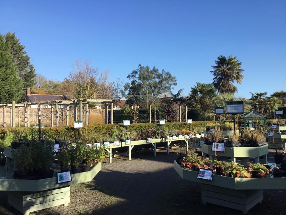 Walled Gardens, plant sale