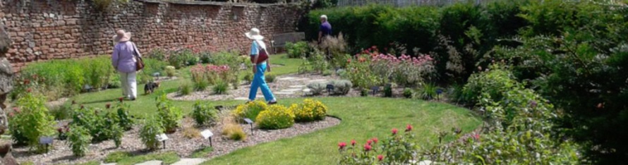 national collection.jpg