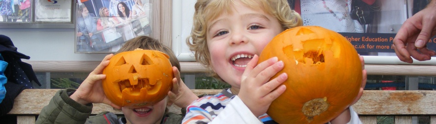 Adam William pumpkins header.jpg