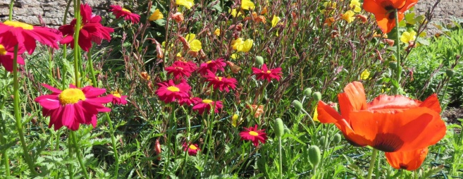 11101637_874465812626135_7270050406042648719_o - cropped.jpg